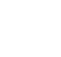 Marca Chile